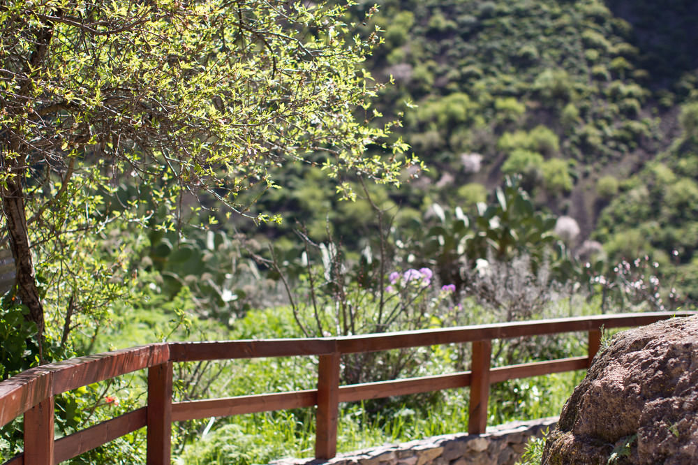 Casas Rurales De Guayadeque インヘニオ エクステリア 写真