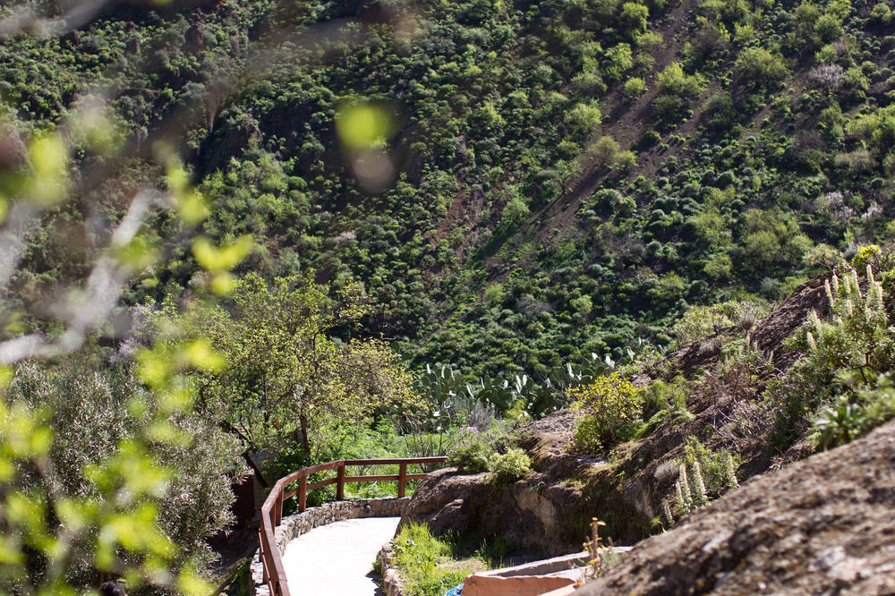 Casas Rurales De Guayadeque インヘニオ エクステリア 写真